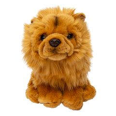 Jofi Freud's favourite Chow Chow
