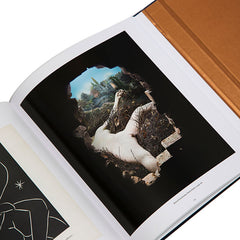 The Art of the Erotic