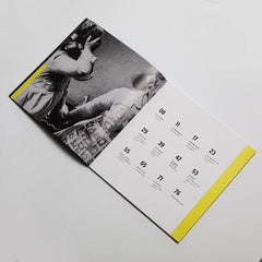 The Uncanny: A Centenary Exhibition Catalogue, Sigmund Freud, Freud Museum London