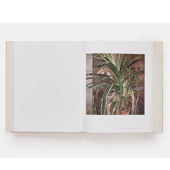 Lucian Freud : Martin Gayford, edited by David Dawson and Mark Holborn