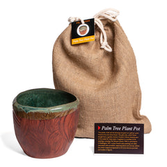 Palm Tree Plant Pot