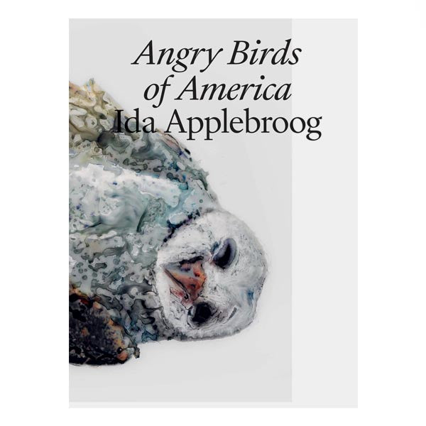 Ida Applebroog: Angry Birds of America - Jo Applin