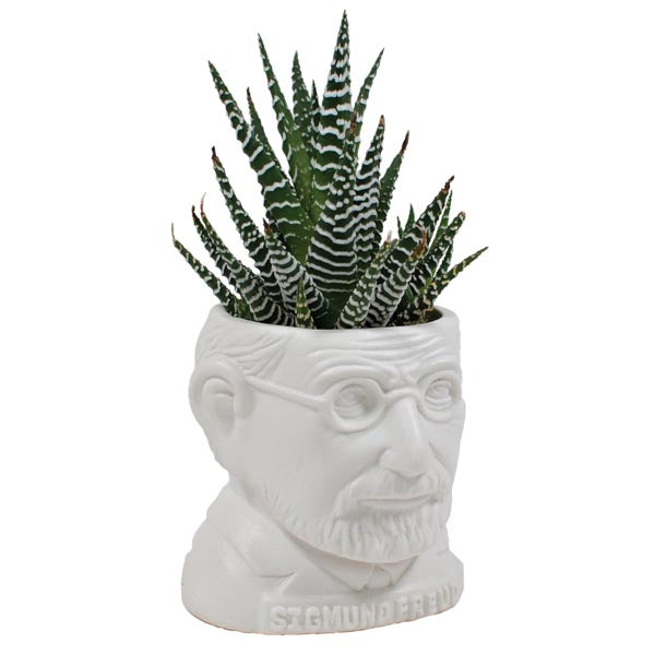 Sigmund Freud Ceramic Planter