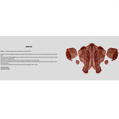 The Rorschach Text - Martin Bladh