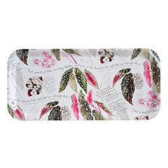 Freud's Begonia Tray