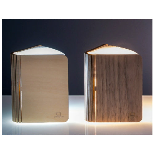 Mini Book Light