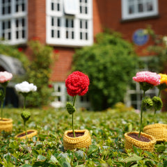 Crochet Rose Pot