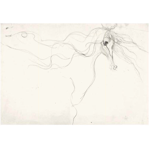 Femme Cheval by Leonora Carrington (A6 postcard)