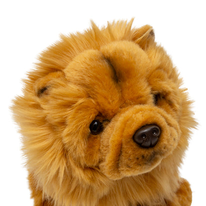 Jofi Freud's favourite Chow Chow