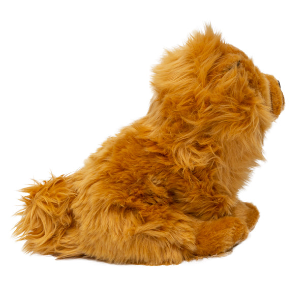 Jofi Freud's favourite Chow Chow