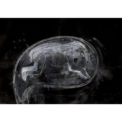 Limited Edition Print - Elephant in the Womb 1 by Cathie Pilkington