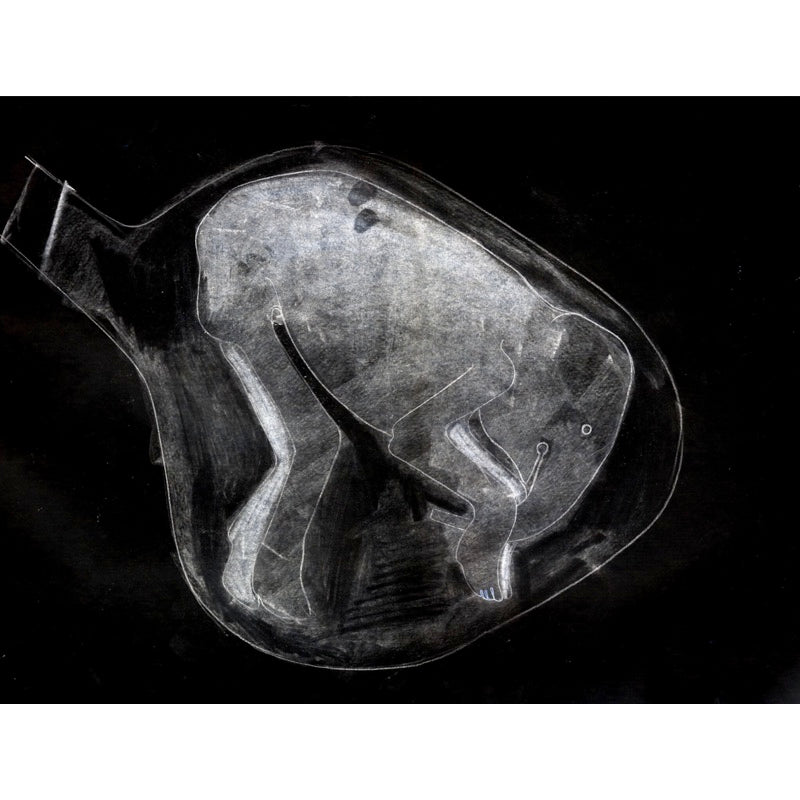 Limited Edition Print - Elephant in the Womb 2 by Cathie Pilkington 