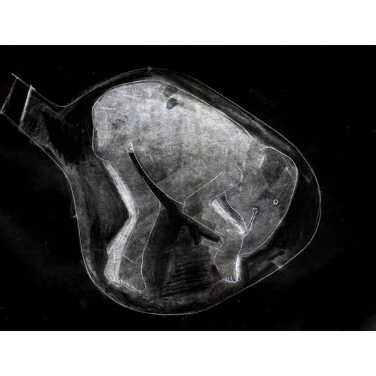 Limited Edition Print - Elephant in the Womb 2 by Cathie Pilkington 