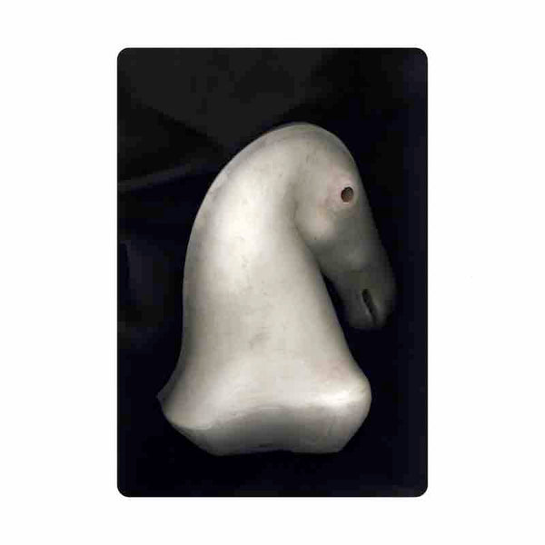 Limited Edition Print - The White Horse 1 by Cathie Pilkington