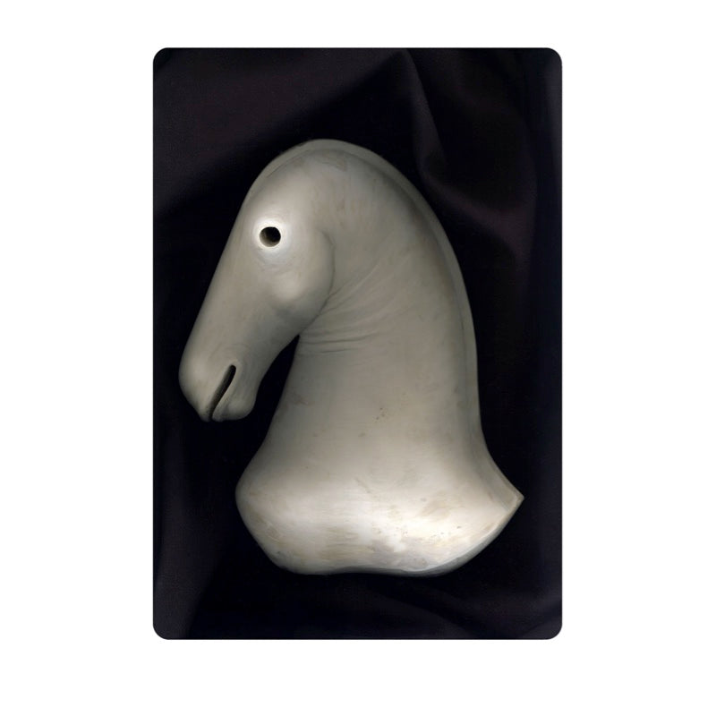 Limited Edition Print - The White Horse 2 by Cathie Pilkington 