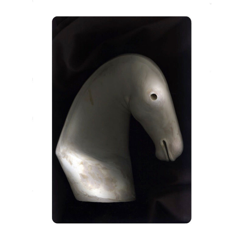 Limited Edition Print - The White Horse 3 by Cathie Pilkington 