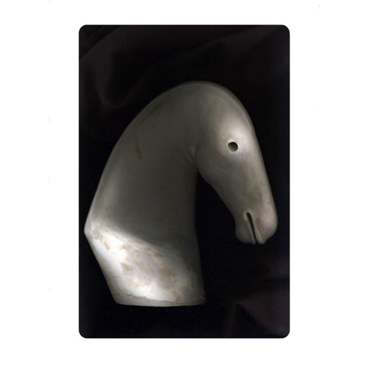 Limited Edition Print - The White Horse 3 by Cathie Pilkington 