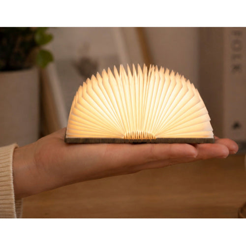 Mini Book Light