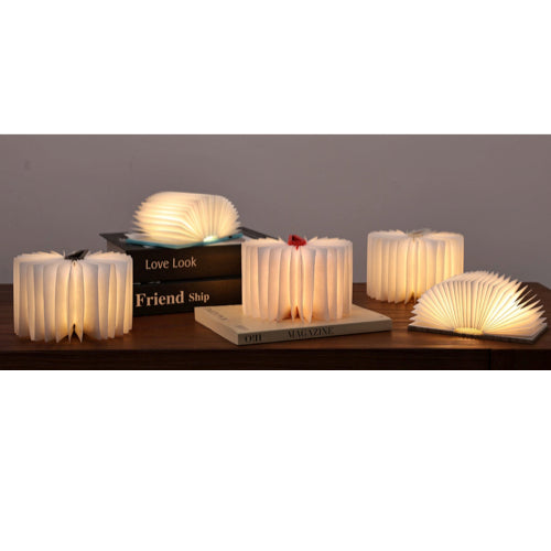 Mini Book Light