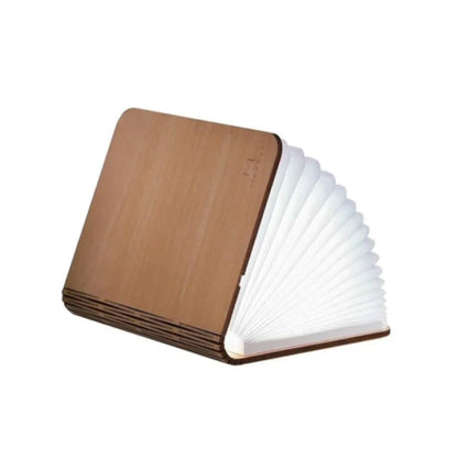 Mini Book Light