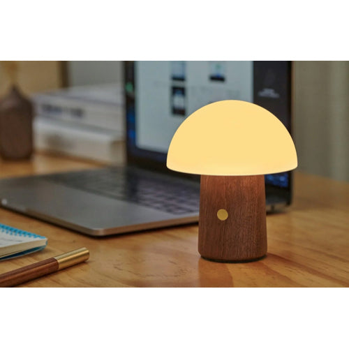 Mini Mushroom Lamp 