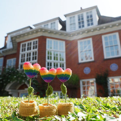 Rainbow Crocheted Flowers in the Freud's Garden
