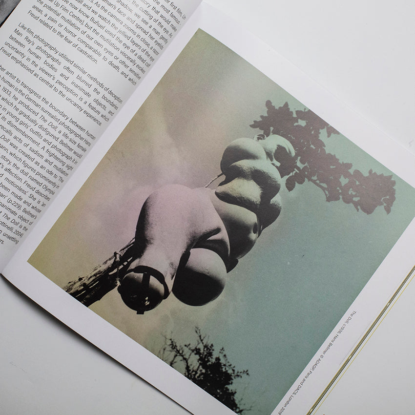 The Uncanny: A Centenary Exhibition Catalogue, Sigmund Freud, Freud Museum London