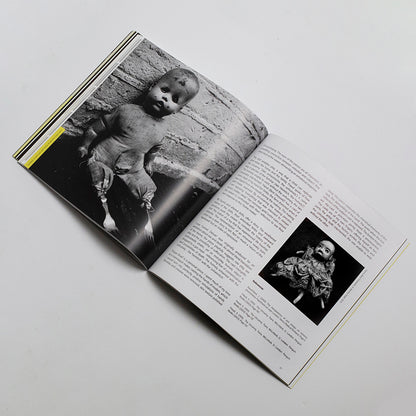 The Uncanny: A Centenary Exhibition Catalogue, Sigmund Freud, Freud Museum London
