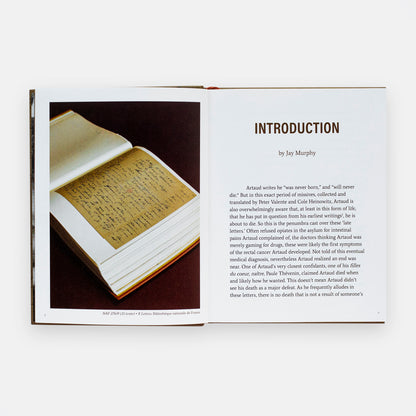 Succubations & Incubations - Antonin Artaud image of the introduction page