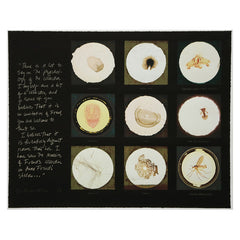 Limited Edition Signed Print Freud Museum, Susan hiller, after microscope slides found in freud's collection and a quotation from jacques lacan