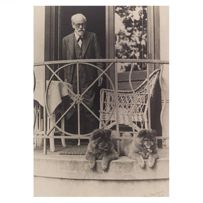 6 Postcard Set - Archive
