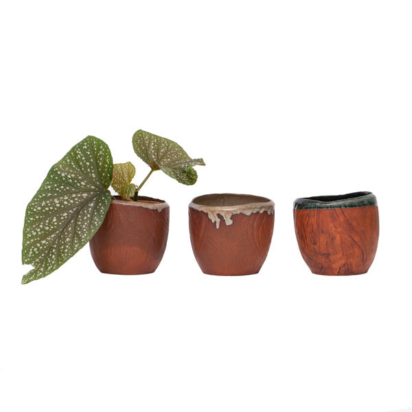 Palm Tree Plant Pot