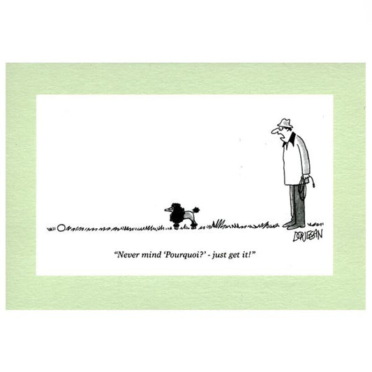 Never mind pourquoi - greeting card