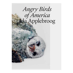 Ida Applebroog: Angry Birds of America - Jo Applin, painting of dead bird