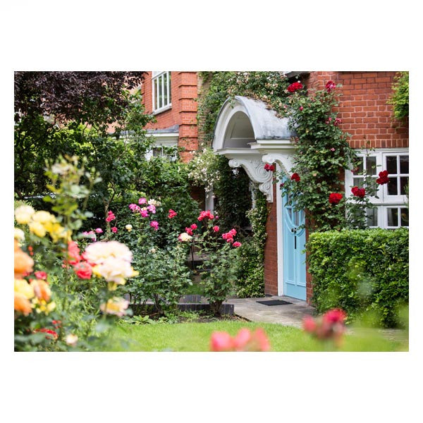 20 Maresfield Gardens with roses grown by Anna Freud (postcard)