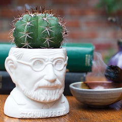 Sigmund Freud sculpture as a Ceramic Planter for a mini cactus (not sold with cactus) 