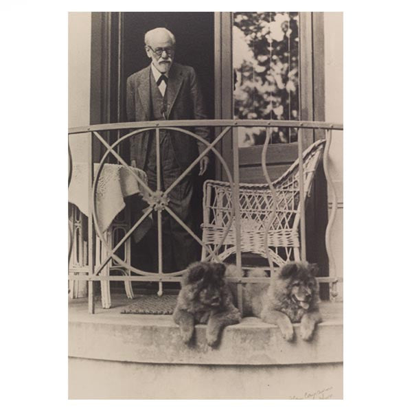 Freud with chows Fo and Tattoun (postcard)