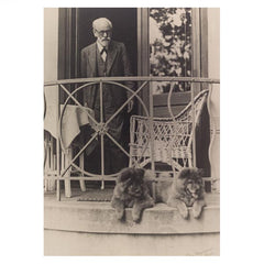 freud with chows fo and tattoun